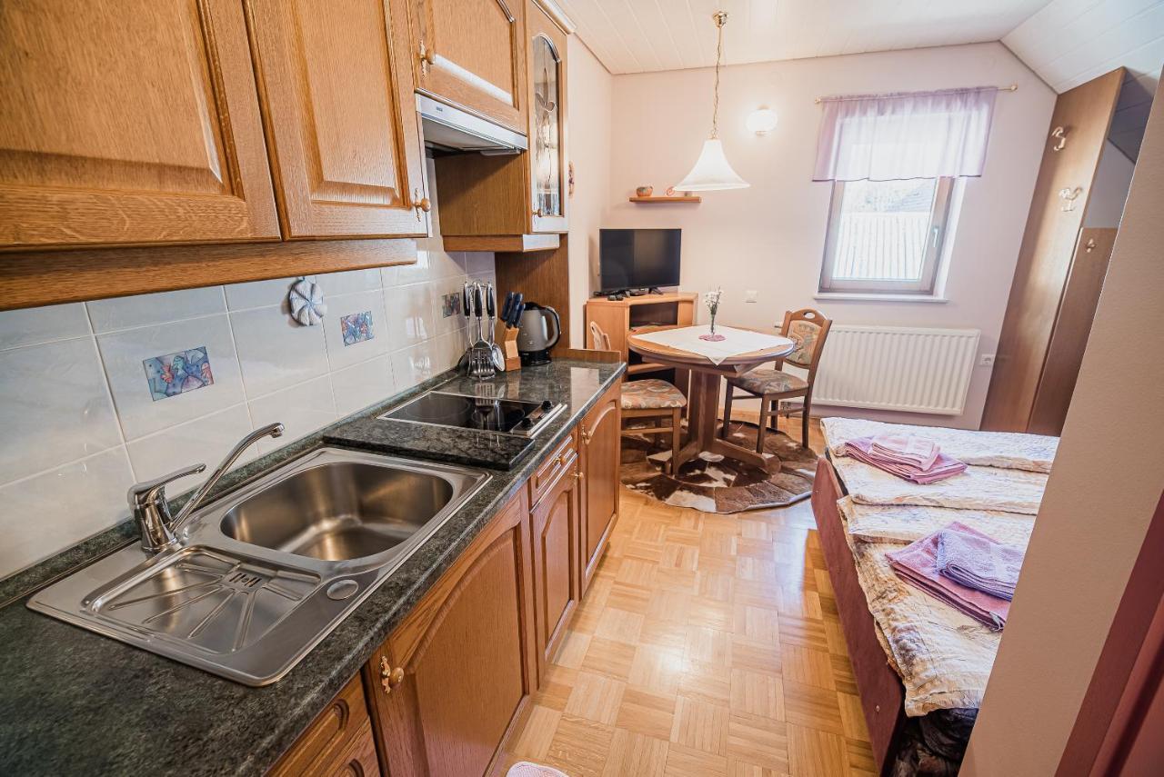 Homestay Kocka Zgornje Jezersko Exterior photo