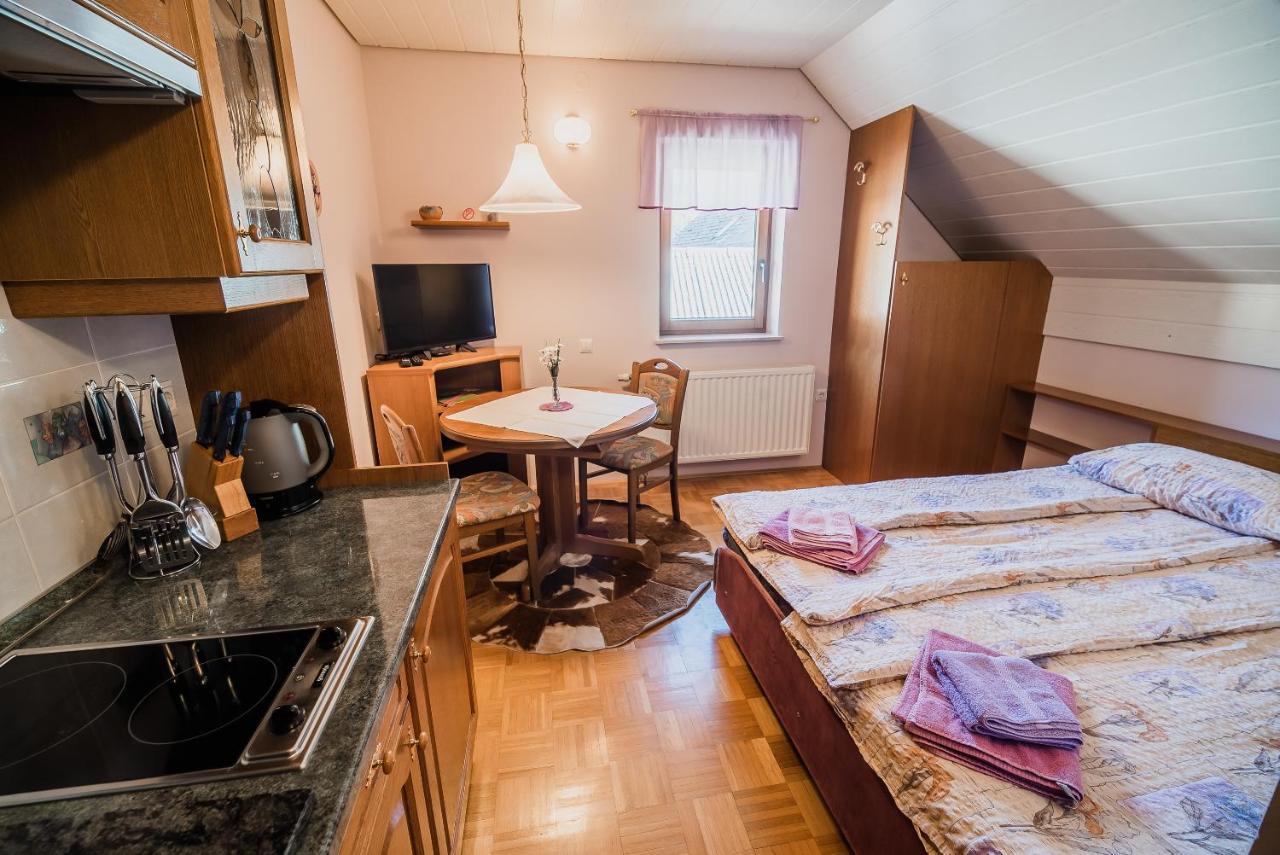 Homestay Kocka Zgornje Jezersko Exterior photo